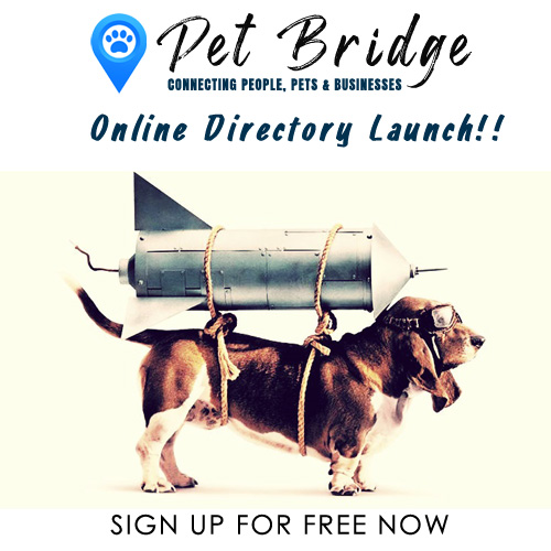 The Launch of Pet Bridge Online Directory!